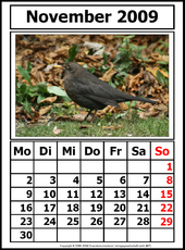 11-Kalender-N-09-November.jpg